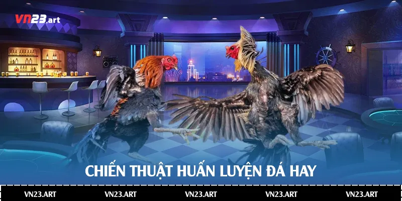 Chiến thuật huấn luyện đá hay