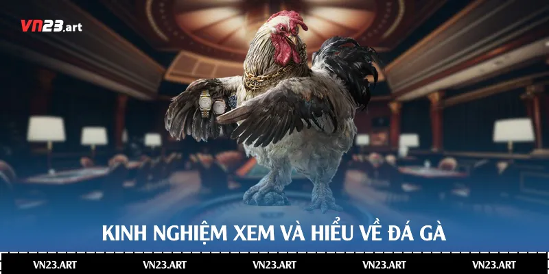 Kinh nghiệm xem và hiểu về đá gà 