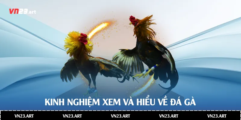 Kinh nghiệm xem và hiểu về đá gà