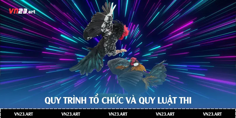 Quy trình tổ chức và quy luật thi