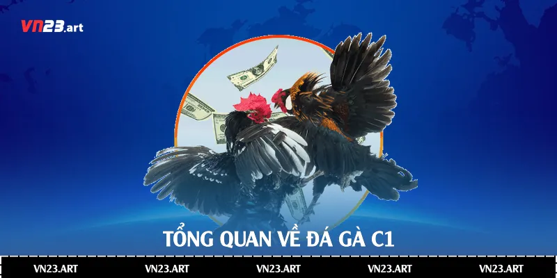 Tổng quan về đá gà C1